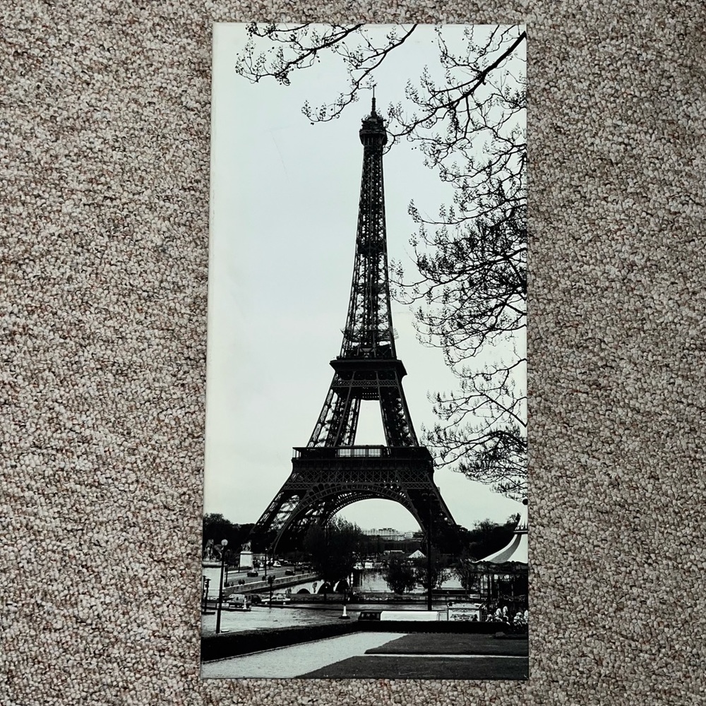 Paris Canvases (2)